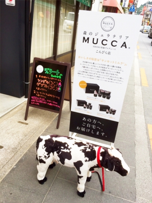 ～森のジェラテリア～　ＭＵＣＣＡ  # HIRONO牧場プロデュース #