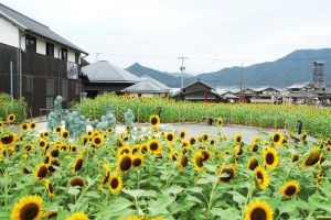 香川県を満喫しよう♪《 小豆島のいいところ・続編 》