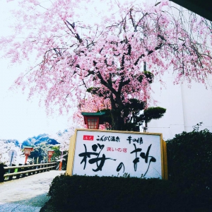 桜の抄という看板にて