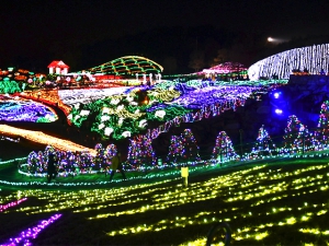 夜遊ぶ？？期間限定まんのう公園イルミネーション