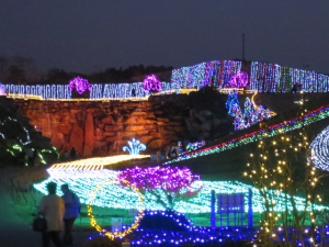 まんのう公園のイルミネーションを見に行こう！！　※12月14日（土）空室あります。