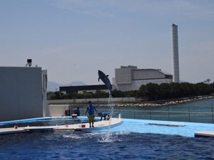 「四国水族館」に行ってきました♪