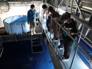 【四国水族館】新しい体験プログラム始まる！！