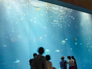 【四国水族館】新しい体験プログラム始まる！！