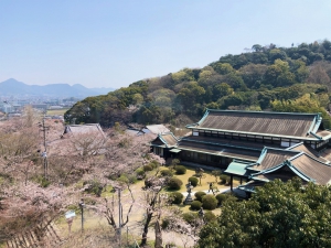 桜が「ぶわっ」♡♡