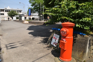 琴平町の大センダン