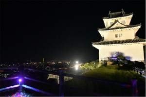【丸亀城キャッスルロード】大手門から天守まで様々な灯りで彩る、幻想的な夜の丸亀城♪