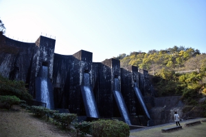 【香川の紅葉スポット】法泉寺★樹齢100年超のモミジの木々が見頃♪