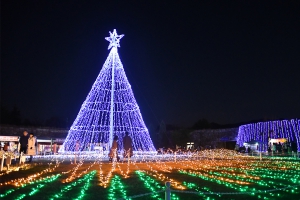 【国営讃岐まんのう公園】約60万球のイルミネーションが彩る幻想的な世界♪