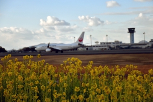 【さぬきこどもの国・東ウイングエリア】高松空港近くで菜の花が見頃♪