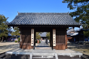 【本山寺】四国霊場第70番札所～五重塔近くのロウバイが咲き始めています。