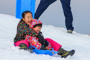 【雲辺寺山頂公園】2月土曜・日曜・祝日限定で雪遊び開催中♪
