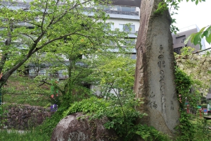 琴平町公会堂のツツジや藤の花が咲き始めました。