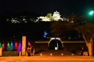【丸亀城キャッスルロード】9月10日より　丸亀城内が光のオブジェやイルミネーションで幻想的な世界に！