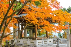 【紅葉スポット】もみじ寺・雲辺寺　まもなく紅葉が見頃♪　