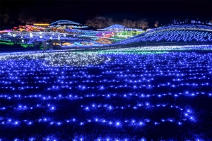 【国営讃岐まんのう公園】イルミネーションイベント「ウィンターファンタジー」