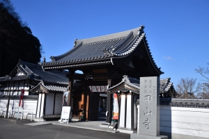 【甲山寺】卯年は「うさぎ寺」へお参り！　境内“16羽”のウサギたちがお出迎え