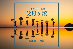 ★香川の絶景スポット【父母ヶ浜】絶景の見頃カレンダー（2月）　※2月25日（土）空室あります