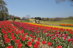 まんのう公園で「春らんまんフェスタ」開催！