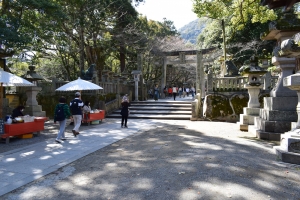 【金刀比羅宮・大門】桜のトンネルまでもう少し⁇