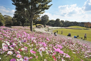 【国営讃岐まんのう公園】9月16日より「秋！色どりフェスタ」開催！