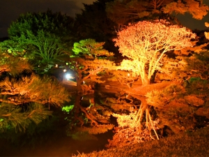 香川の紅葉スポット【栗林公園】11月23日～秋のライトアップ