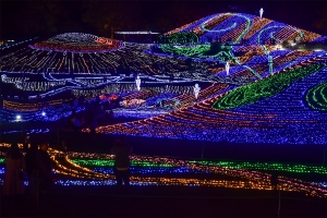 【国営讃岐まんのう公園】冬の風物詩　イルミネーションを見に行こう！