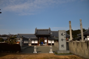 【延命院】境内に清らかな香り漂う、蝋梅の花が咲き始め