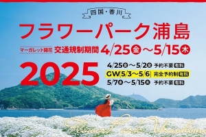 瀬戸内の風に揺れる白い花の海へ♪「フラワーパーク浦島」でマーガレット満開！
