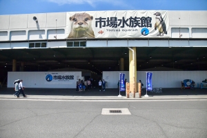 期間限定の“癒しスポット”誕生♪「市場水族館」で可愛い生き物たちに会いに行こう🐢✨