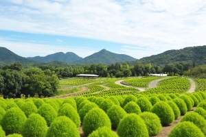 🚙四国の夏を満喫！✨明日7月19日から「まんのう公園サマーフェスタ」開催🌻