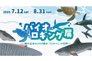 🌊この夏だけの特別展示＆夜の幻想体験！【四国水族館】へ🌅（8/31まで）