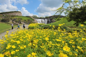 【9/27（土）空室あり】コスモス揺れる秋旅🌸 こんぴら温泉で癒しの休日♨️