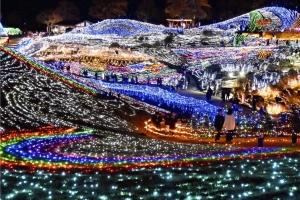 ✨【今年で20回目！】 まんのう公園ウィンターファンタジー2025 桜の抄から便利なイルミネーションツアー開催中🎄🌌