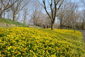 【春の絶景さんぽ】3/14〜春らんまんフェスタ開催!まんのう公園で心ときめくフラワーリレーを楽しもう♪