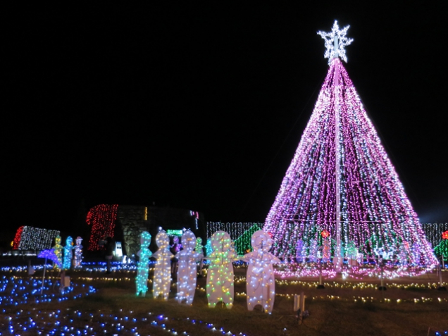 まんのう公園のウィンターファンタジー開催中ですよ~！