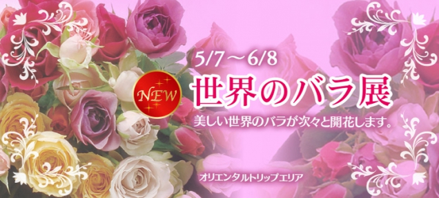 レオマ花ワールドの世界 桜の抄ブログ 桜の抄 琴平金刀比羅宮に続く参道22段目に佇む温泉旅館 公式サイト