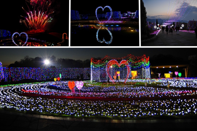 国営讃岐まんのう公園☆早春フェスタ