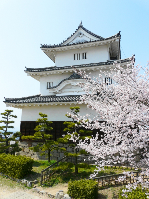 丸亀城の桜まつり（亀山公園）は3月下旬～4月初旬が見頃です♪