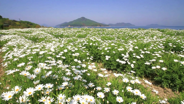 GWは香川を満喫♪♪ 5月6日(土)空きの部屋ございます