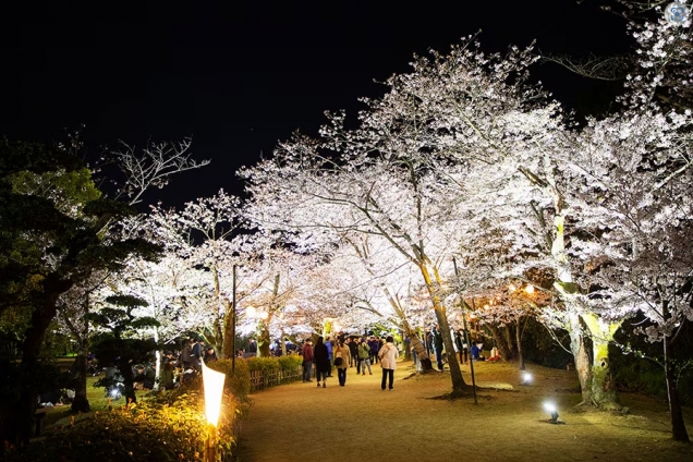 【特別名勝　栗林公園】3月29日～4月7日★「春のライトアップ」開催中！