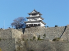 これでもか丸亀城！それでもか丸亀城！！　5月30日空室あります