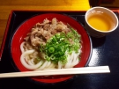 How about to eat udon for lunch?