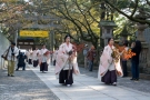 明日11月10日は金刀比羅宮で紅葉祭