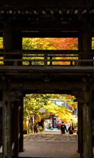 香川県の紅葉スポット　「大窪寺」
