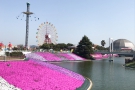 【レオマリゾート】4/28まで「10万本の芝桜のじゅうたん」イベント開催