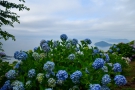 「紫雲出山」瀬戸内の多島美と紫陽花のコラボ♪　※週末若干空室ございます。