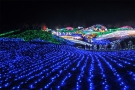 【国営讃岐まんのう公園】11月25日～イルミネーションイベント「ウィンターファンタジー」開催！