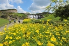 【9/27（土）空室あり】コスモス揺れる秋旅🌸 こんぴら温泉で癒しの休日♨️