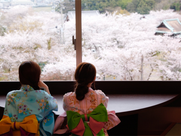 ~Enjoy cherry trees blossom in your guest room~